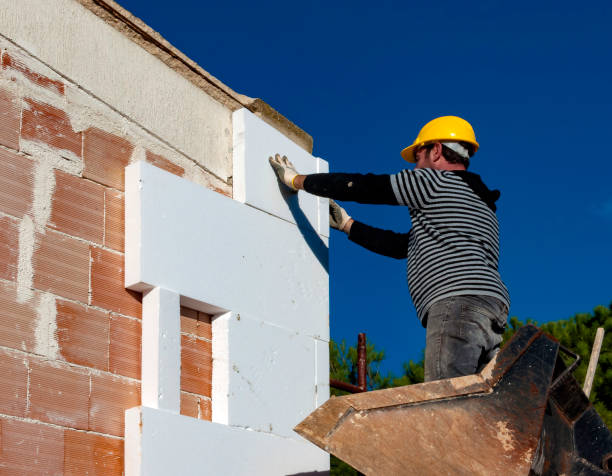 Best Eco-Friendly Insulation in Sheboygan, WI