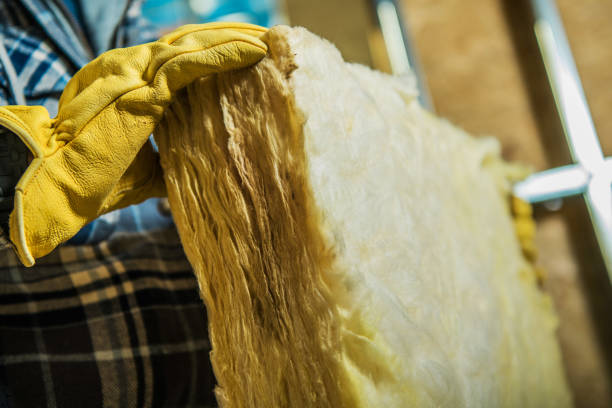 Best DIY Insulation Kits and Guidance in Sheboygan, WI