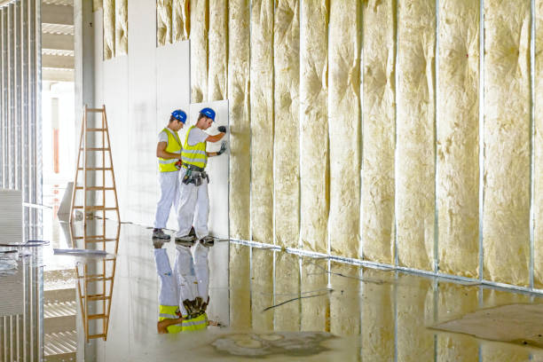 Best Cellulose Insulation in Sheboygan, WI